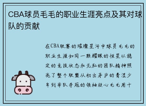 CBA球员毛毛的职业生涯亮点及其对球队的贡献